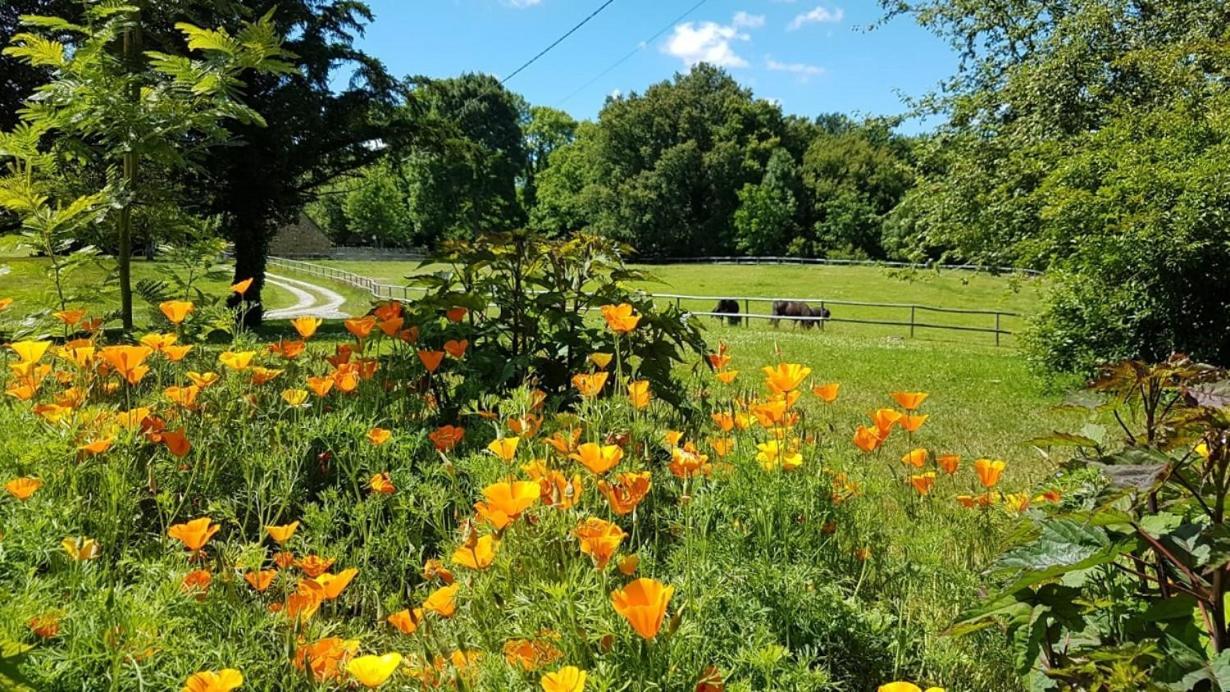 Le Chalard Domaine Du Castellare B&B 외부 사진